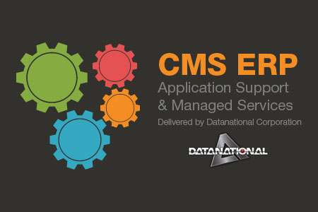 CMS ERP solutions and services